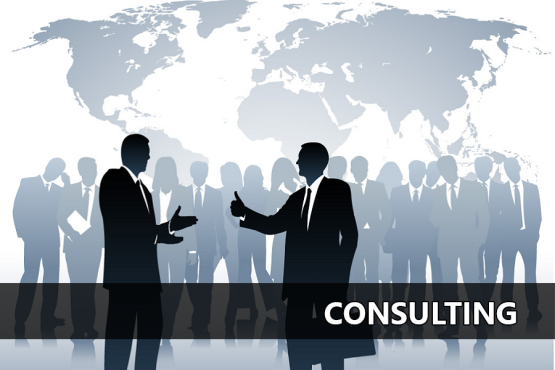 consulting11